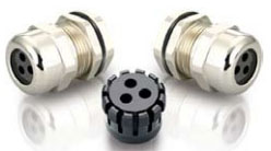 Multi-Hole Insert Brass Cable Glands (3 Holes)