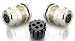 Multi-Hole Insert Brass Cable Glands (4 Holes)