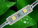 SMD LED Module