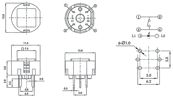 Illuminated Tact Switches